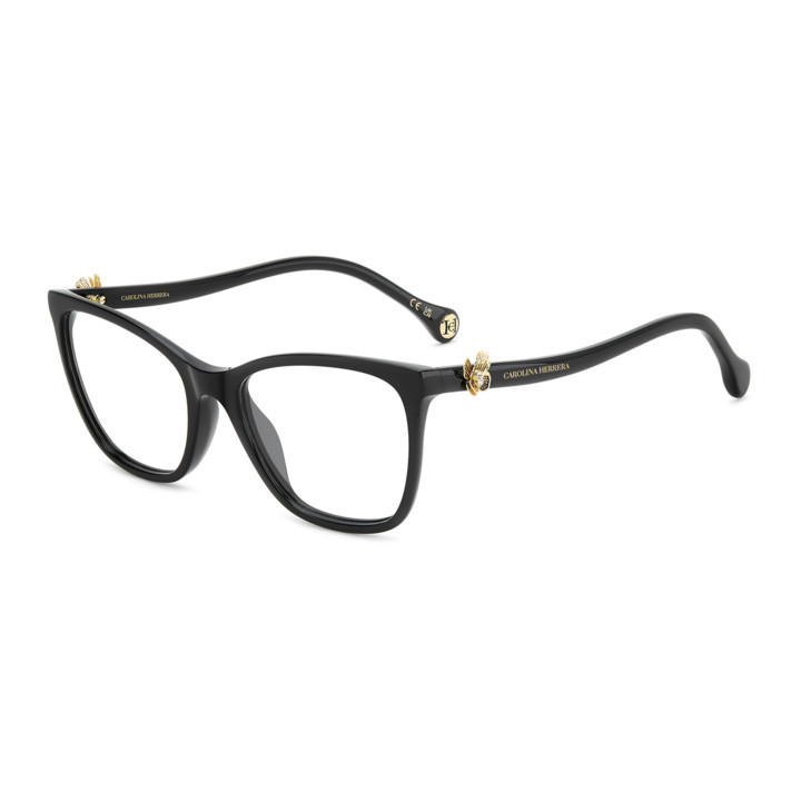 Lunettes de vue Carolina Herrera HER 0395/G Black (807)