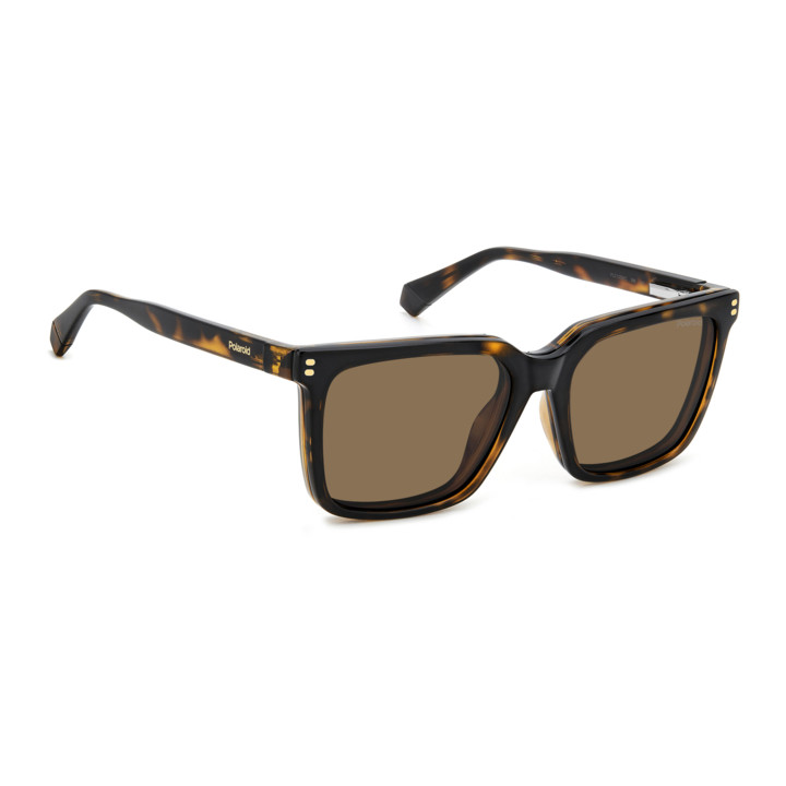 Lunettes de vue avec clip solaire Polaroid PLD D556/C Havana / verres Bronze Polarized (086-SP)