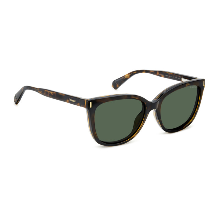 Lunettes de vue avec clip solaire Polaroid PLD 6229/CS Havana / verres Green Polarized (086-UC)