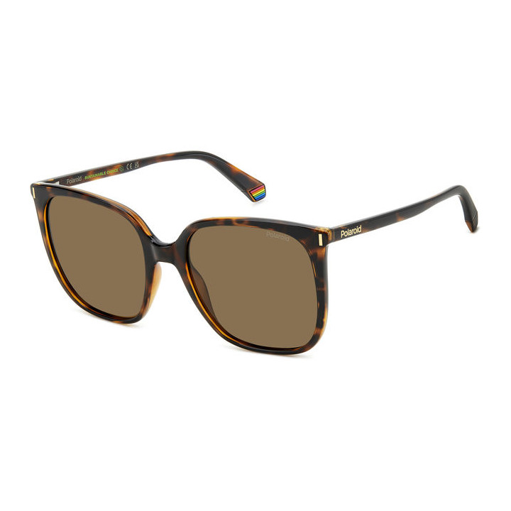 Lunettes de soleil Polaroid PLD 6218/S Havana / verres Bronze Polarized (086-SP)