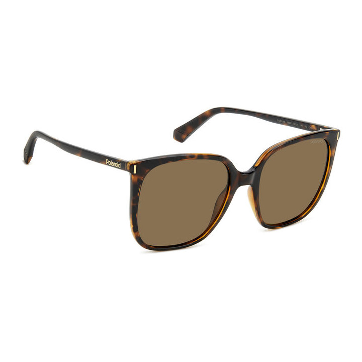 Lunettes de soleil Polaroid PLD 6218/S Havana / verres Bronze Polarized (086-SP)