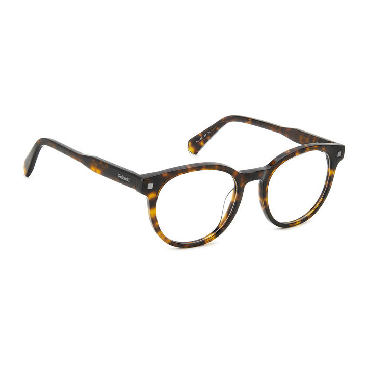 Lunettes de vue Polaroid PLD D519 Havana (086)