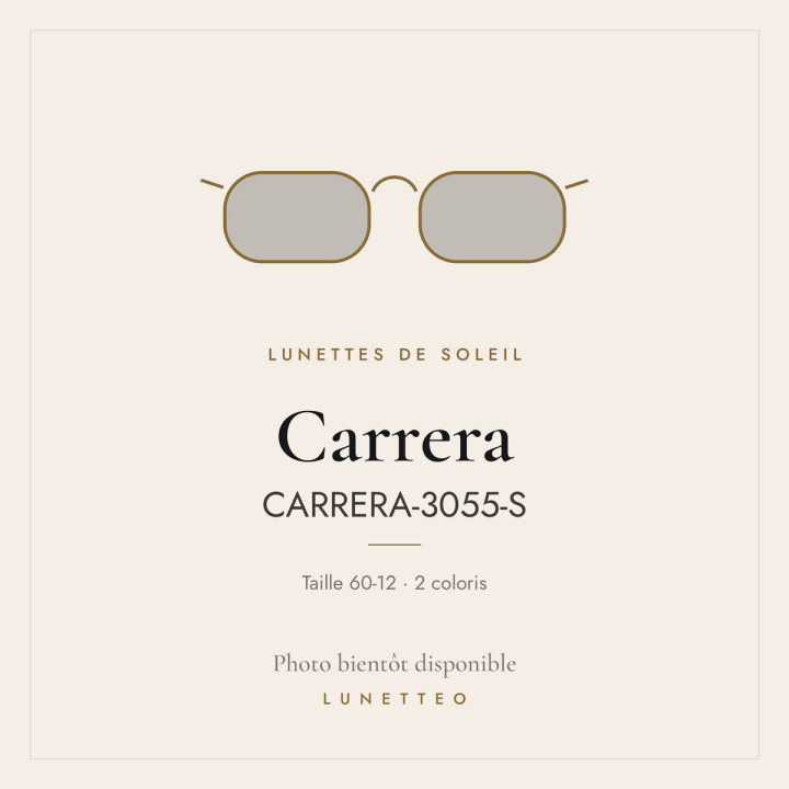 Lunettes de soleil Carrera CARRERA-3055-S