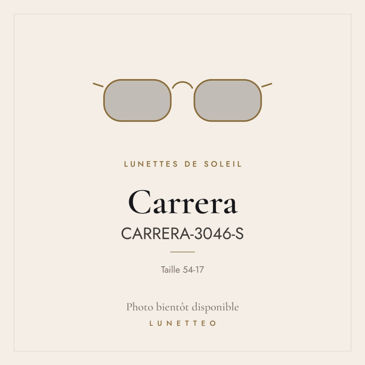 Lunettes de soleil Carrera CARRERA-3046-S