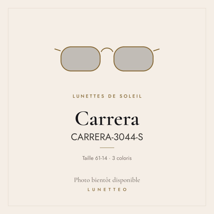 Lunettes de soleil Carrera CARRERA-3044-S