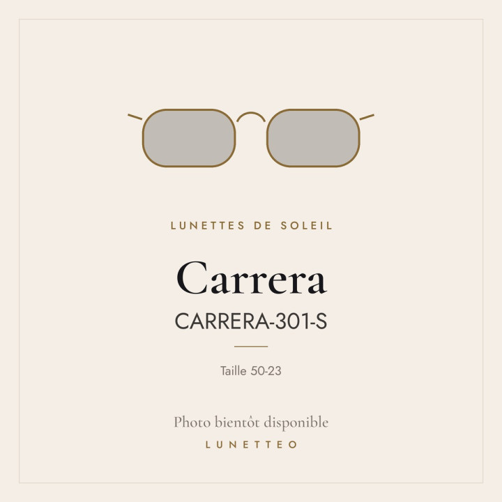 Lunettes de soleil Carrera CARRERA-301-S