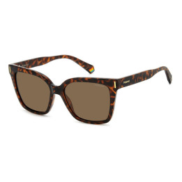 Lunettes de soleil Polaroid PLD 6192/S Havana / verres Bronze Polarized (086-SP)