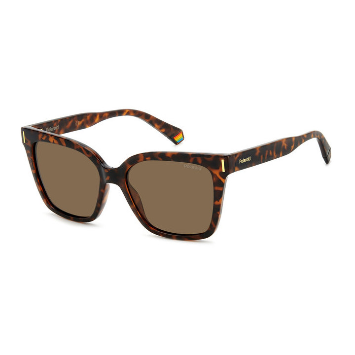 Lunettes de soleil Polaroid PLD 6192/S Havana / verres Bronze Polarized (086-SP)