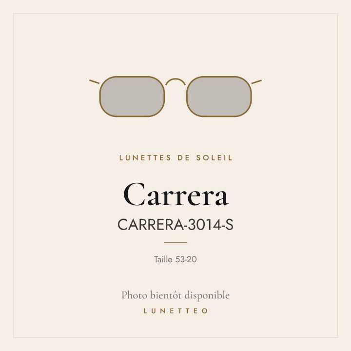 Lunettes de soleil Carrera CARRERA-3014-S