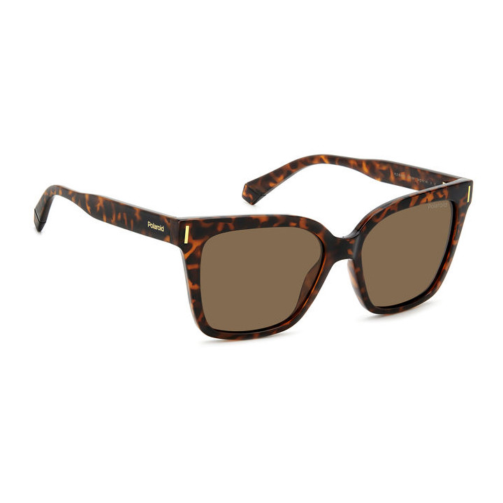 Lunettes de soleil Polaroid PLD 6192/S Havana / verres Bronze Polarized (086-SP)