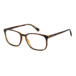 Lunettes de vue Polaroid PLD D488 Havana (086)