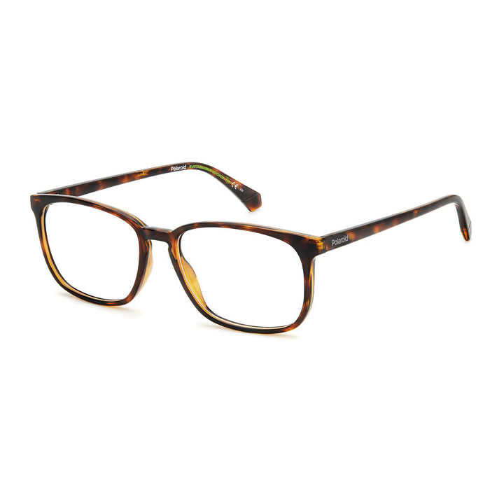 Lunettes de vue Polaroid PLD D488 Havana (086)