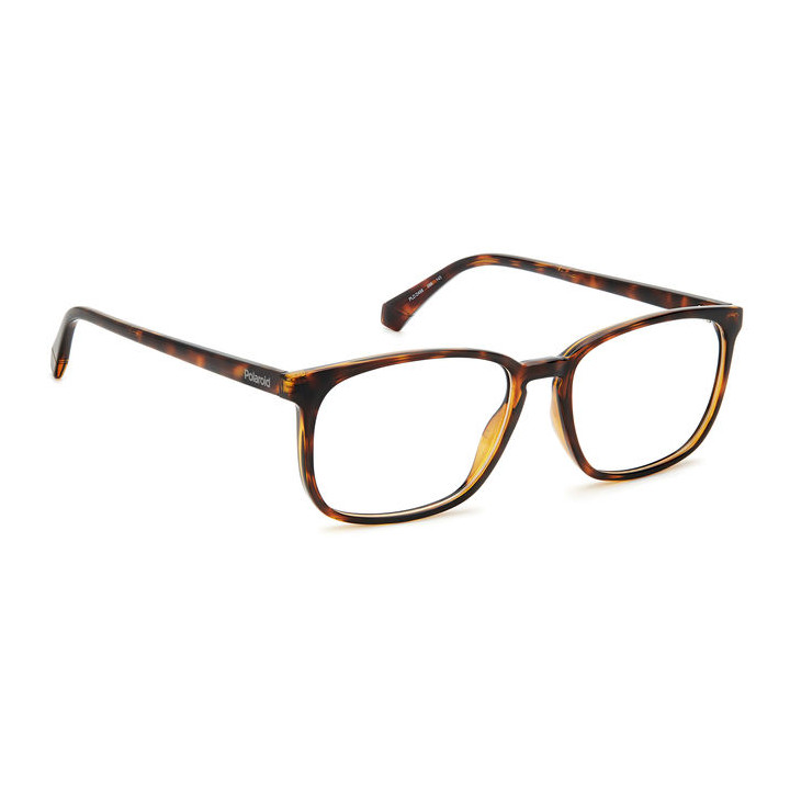 Lunettes de vue Polaroid PLD D488 Havana (086)