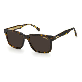 Lunettes de soleil Carrera 251/S Havana / verres Brown (086-70)