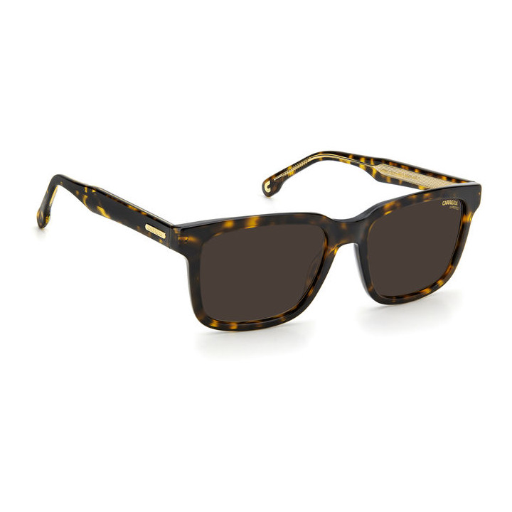 Lunettes de soleil Carrera 251/S Havana / verres Brown (086-70)