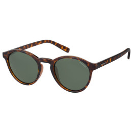 Lunettes de soleil Polaroid PLD 1013/S Havana / verres Green Polarized (V08-H8)
