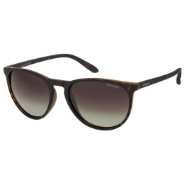 Lunettes de soleil Polaroid PLD 6003/N/S Havana (V08-LA)