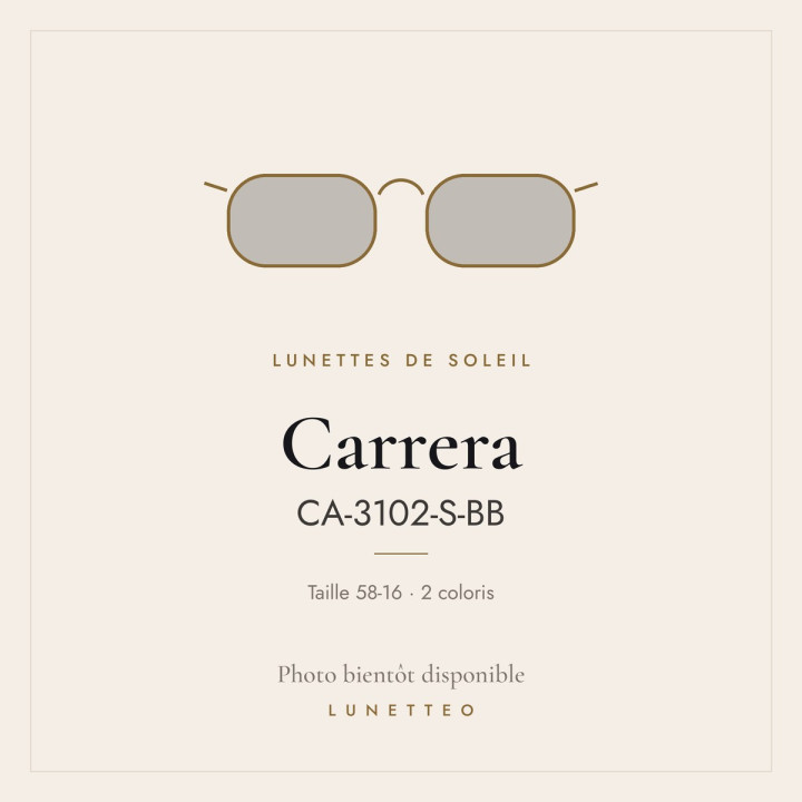 Lunettes de soleil Carrera CA-3102-S-BB
