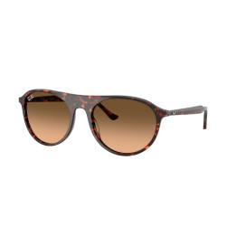 Lunettes de soleil Ray-Ban RB2215