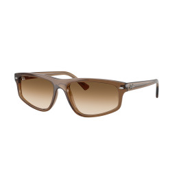 Lunettes de soleil Ray-Ban RB2225