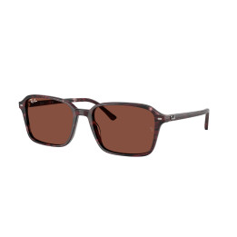 Lunettes de soleil Ray-Ban RB2231