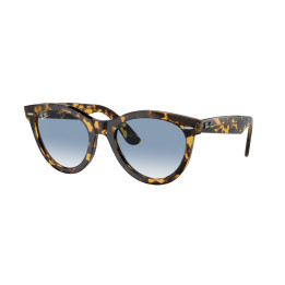 Lunettes de soleil Ray-Ban RB2241