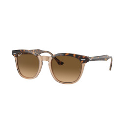 Lunettes de soleil Ray-Ban RB2298