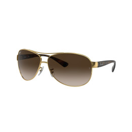 Lunettes de soleil Ray-Ban RB-3386