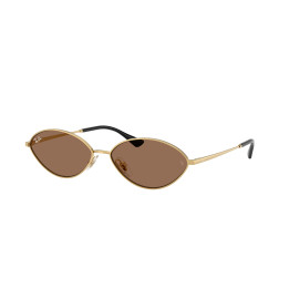 Lunettes de soleil Ray-Ban RB3757