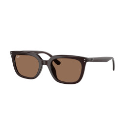 Lunettes de soleil Ray-Ban RB4439D