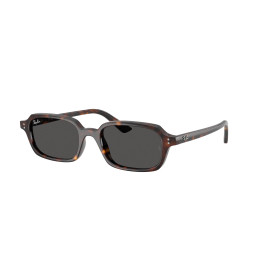 Lunettes de soleil Ray-Ban RB4455