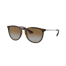 Lunettes de soleil Ray-Ban RB-4171