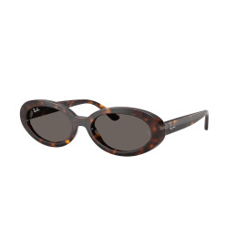 Lunettes de soleil Ray-Ban RB2223