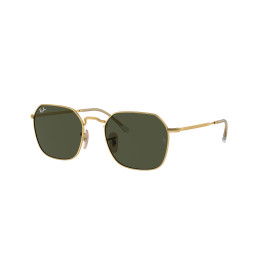 Lunettes de soleil Ray-Ban RB3694