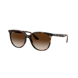 Lunettes de soleil Ray-Ban RB4378