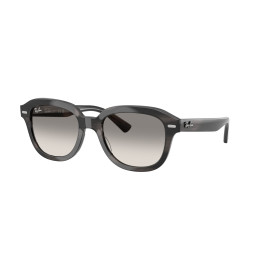 Lunettes de soleil Ray-Ban RB4398