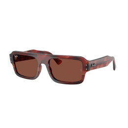 Lunettes de soleil Ray-Ban RB4454