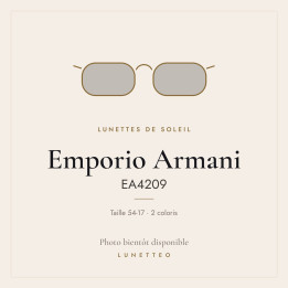 Lunettes de soleil Emporio Armani EA4209