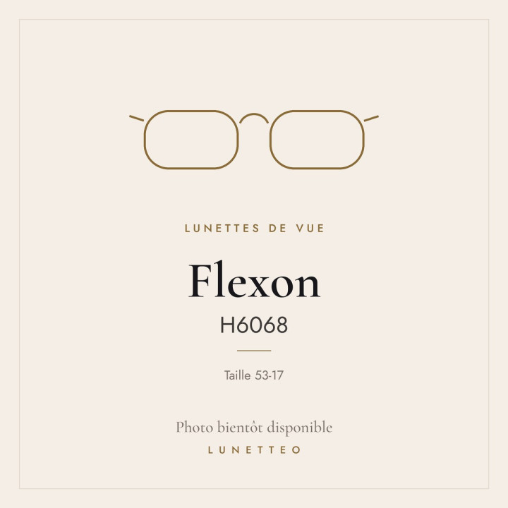Lunettes de vue Flexon H6068