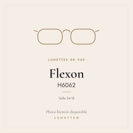 Lunettes de vue Flexon H6062
