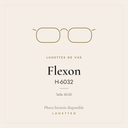 Lunettes de vue Flexon H-6032