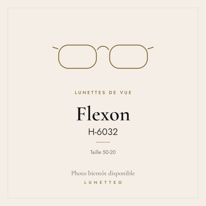 Lunettes de vue Flexon H-6032
