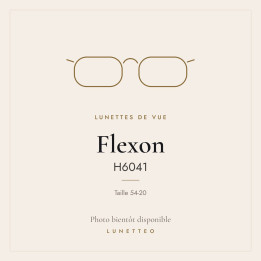 Lunettes de vue Flexon H6041