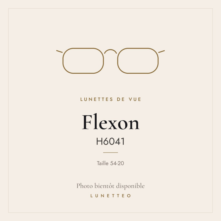 Lunettes de vue Flexon H6041