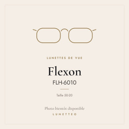 Lunettes de vue Flexon FLH-6010