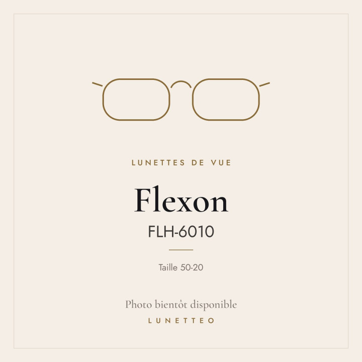 Lunettes de vue Flexon FLH-6010