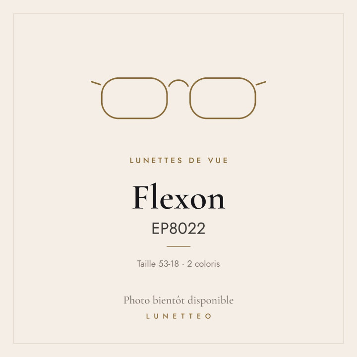 Lunettes de vue Flexon EP8022