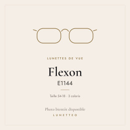 Lunettes de vue Flexon E1144