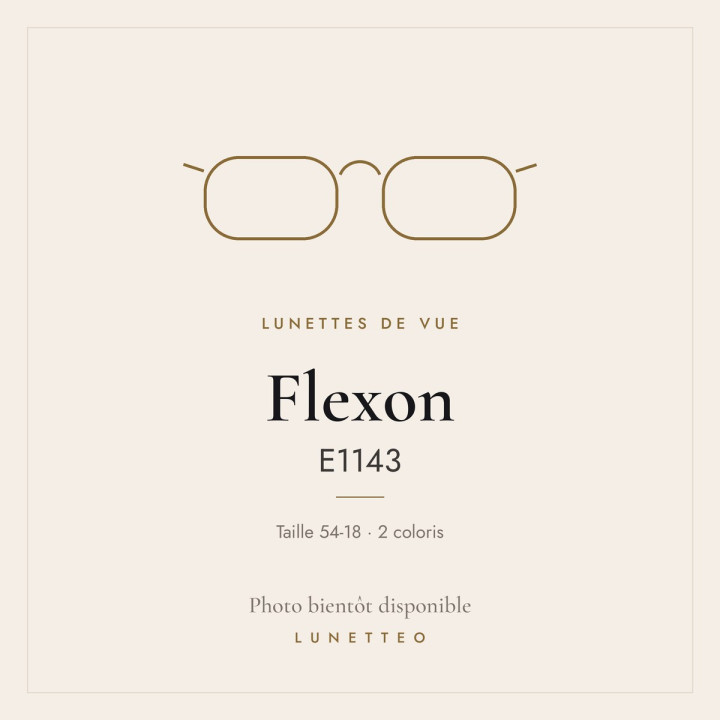 Lunettes de vue Flexon E1143