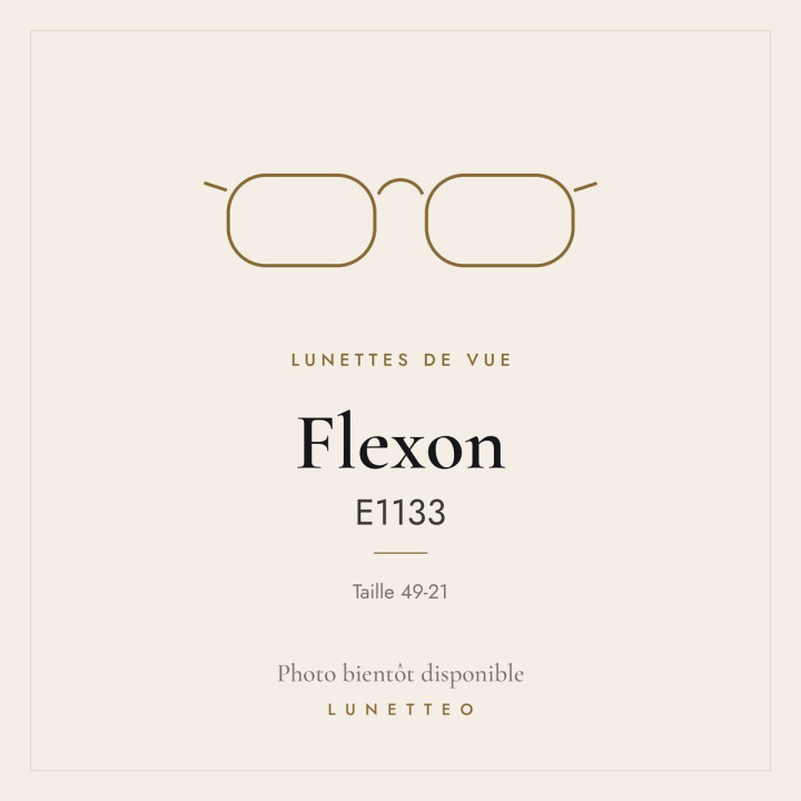 Lunettes de vue Flexon E1133